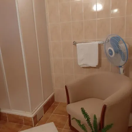 Guest house Pensiunea Floare De Colt