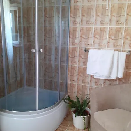 Guest house Pensiunea Floare De Colt Sinaia
