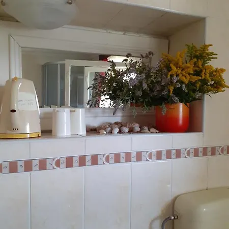 Pensiunea Floare De Colt Guest house Sinaia