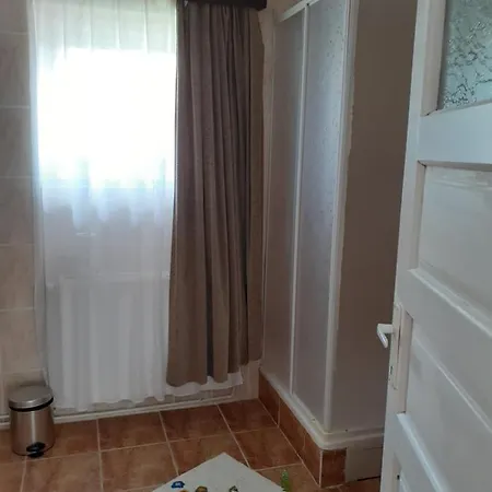 Guest house Pensiunea Floare De Colt