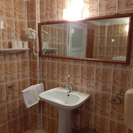 Guest house Pensiunea Floare De Colt Sinaia