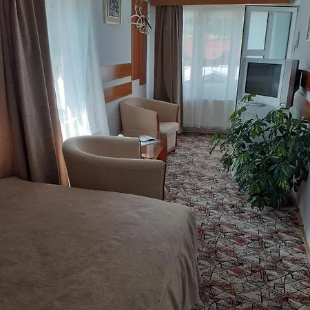 Guest house Pensiunea Floare De Colt