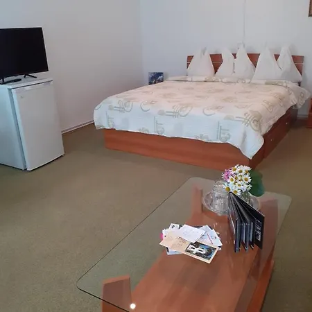 Pensiunea Floare De Colt Guest house 3*