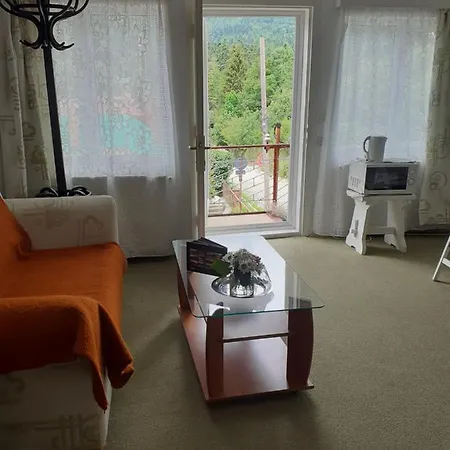 Pensiunea Floare De Colt Guest house 3*
