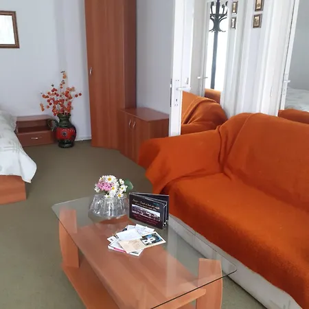 Pensiunea Floare De Colt Guest house Sinaia